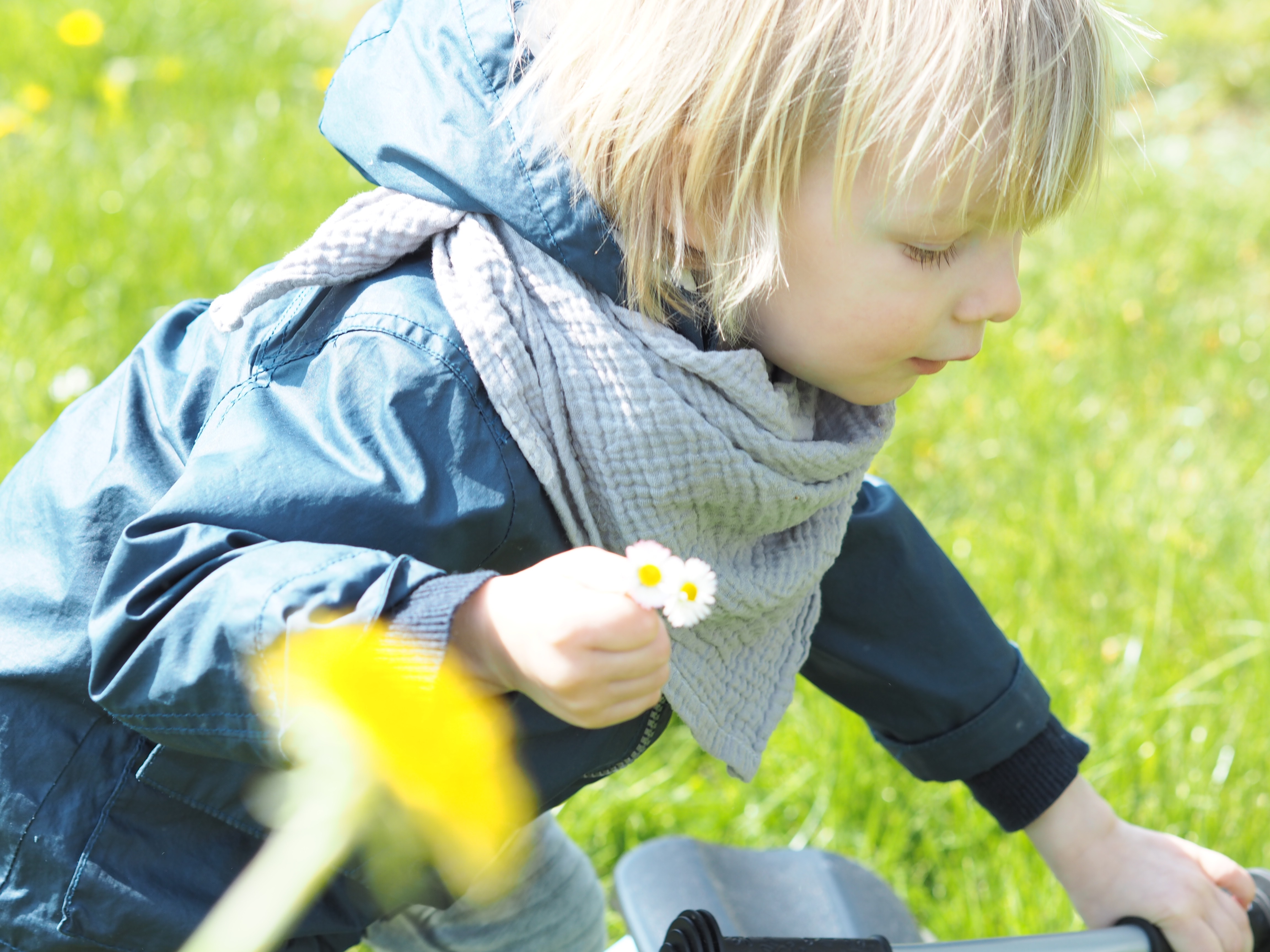 Falcotto Kinderschuhe im Test auf Maison Pazi, tipps für den Kauf von Kinderschuhen