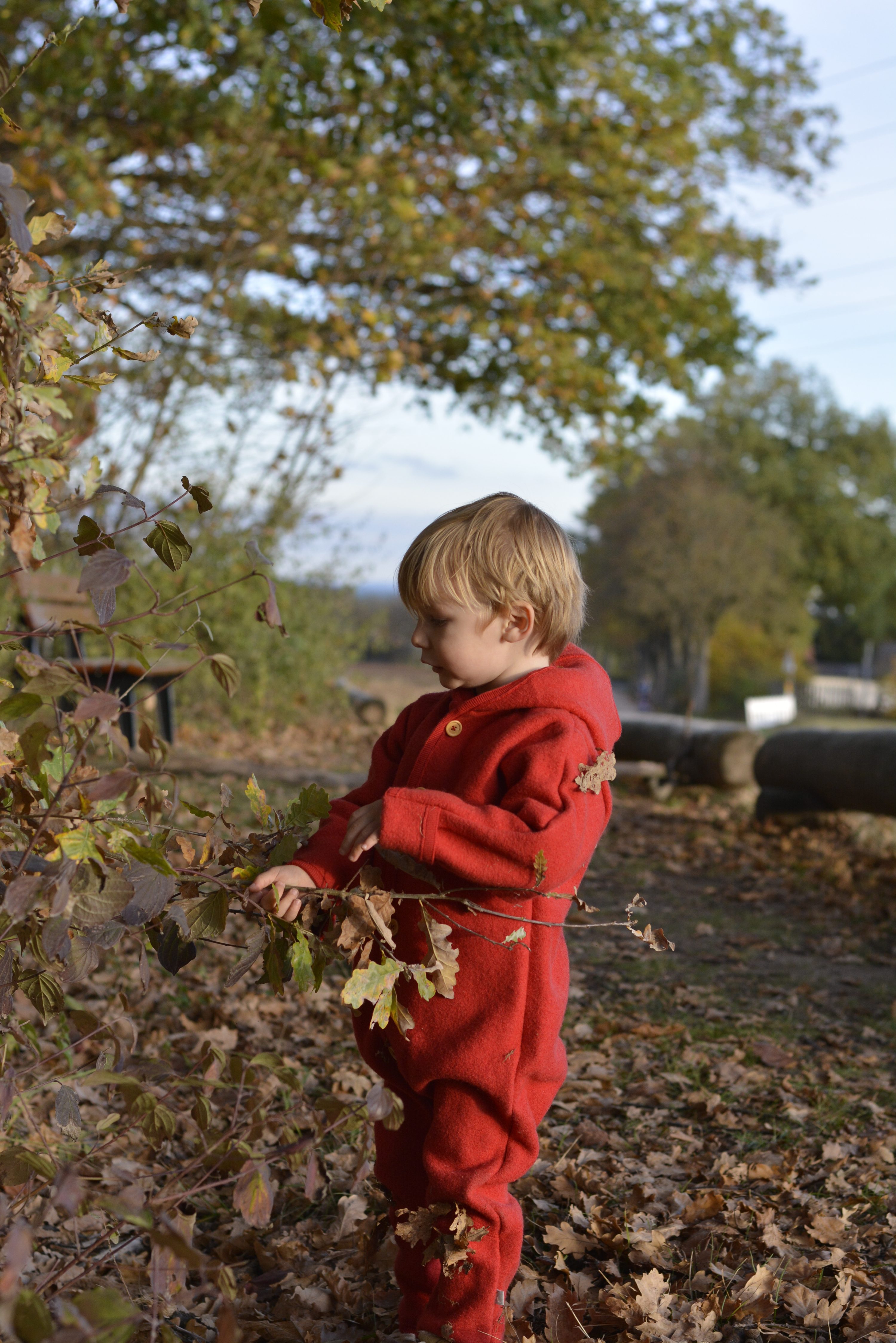 Outdoor-Aktivitäten mit Kindern im Winter, Waldspaziergang, DIY mit Kindern